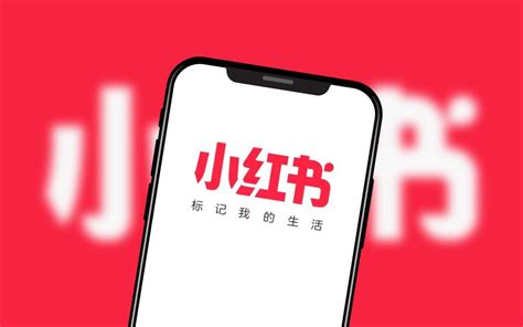 揭秘「车上人妻」的车内世界:不仅是交通工具,更是情绪缓冲带